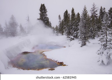 Hot Spring In Snow Field, Yellowstone National Park