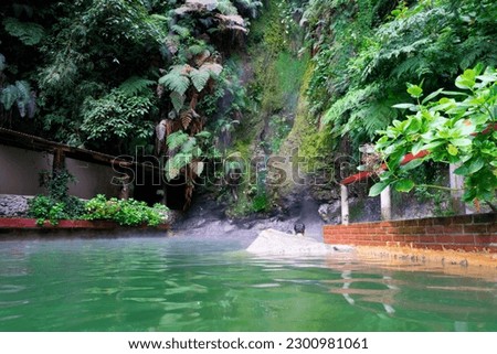 A hot spring surrounded by vegetation at Las Fuentes Georginas in Zunil, Guatemala