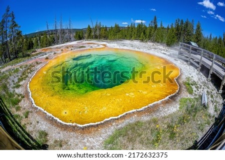  Hot spring in Yellow stone National Park in Wyoming, USA