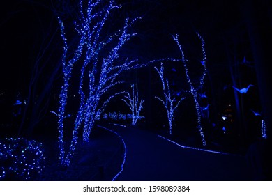 13+ Garvan Woodland Gardens Christmas Lights 2021