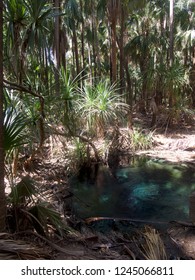 Hot Springs - Australia