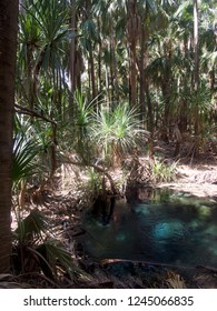 Hot Springs - Australia