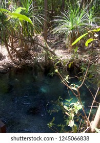 Hot Springs - Australia