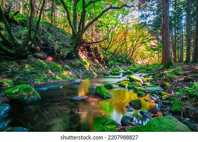 295 6件の 紅葉 滝 の画像 写真素材 ベクター画像 Shutterstock