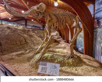 Hot Springs, South Dakota, USA 12-27-20
Mammoth Fossil Dig Site 