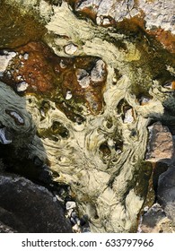 Hot Springs Water Pond With Algae And Archaea