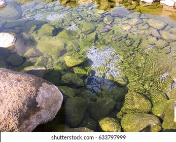 Hot Springs Water Pond With Algae And Archaea