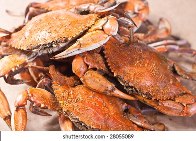 Hot Steamed Blue Crabs From Chesapeake Bay In Maryland