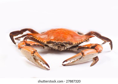 Hot Steamed Crabs From Chesapeake Bay In Ocean City Maryland