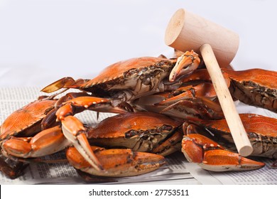 Hot Steamed Crabs, Famous Blue Crabs From Chesapeake Bay I Maryland State