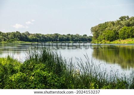 A hot summer day on the Don River near the village of Migulinskaya, Russia. Calm river water among wild green shores