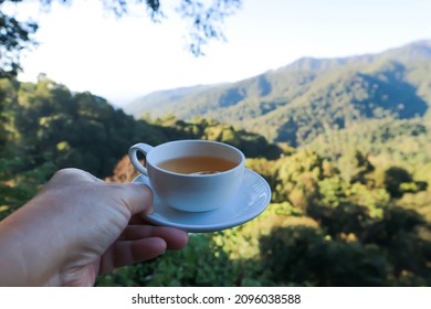 hot tea , tea cup or serving tea or drinking tea