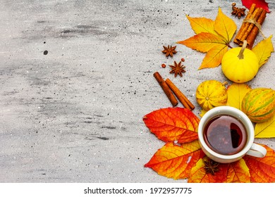 Hot tea with fall foliage, pumpkins, cinnamon sticks and star anise. Colorful autumn leaves for happiness mood. Grey stone table, top view