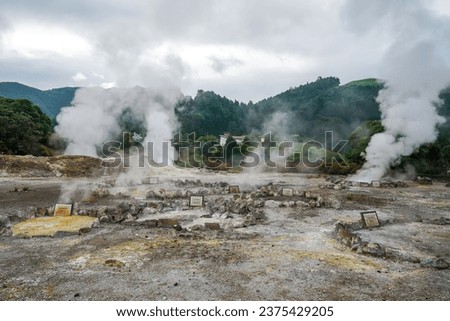Hot thermal springs and geysers in Furnas Village, Sao Miguel island, Azores, Portugal