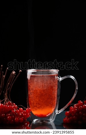 Hot viburnum tea in a glass cup with a double bottom on a black background.