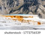 Hot water cascades over the travertine terraces of Canary Spring at Mammoth Hot Springs in Yellowstone National Park. The limestone terrace features change constantly due to the hydrothermal waters.