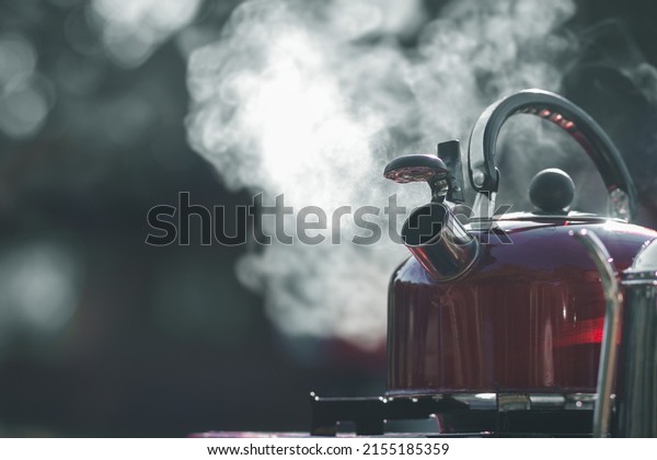 The hot water kettle has steam coming out\
after the kettle is placed on the gas stove to boil water for drip\
coffee to friends who are camping together because the kettle is\
portable convenient