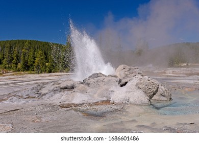 Hot Water and Steam From Erupting Minute Man Geyser in the Shoshone Thermal Basin in Yellowstone National Park in Wyoming - Shutterstock ID 1686601486