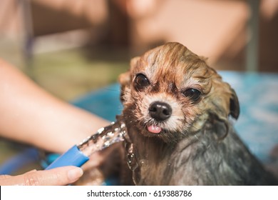 Hot Weather Can Be A Dog, And It Was Really Comfortable To Sleep