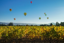 Hot-air Balloons Above A Vineyard In Napa Valley, California, USA