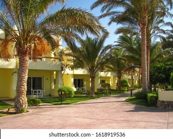 Hotel courtyard detail with palm trees in Hurghada, Egypt.
