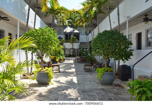 Hotel Patio Plants Trees Pots Stock Photo Edit Now 700906651