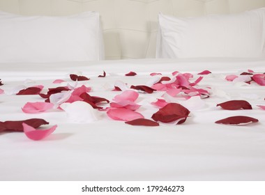 Rose Petals On Bed Hd Stock Images Shutterstock