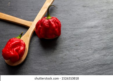 Hottest pepper in the world  Trinidad Scorpion Butch  thousands times more spicy than Havana  On black slate background  and natural light  Spicy dark food food concept  An extreme spicy 