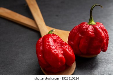Hottest pepper in the world  Trinidad Scorpion Butch  thousands times more spicy than Havana  On black slate background  and natural light  Spicy dark food food concept  An extreme spicy 