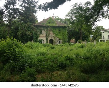 Hounted old house covered by green plants and wild nature.
