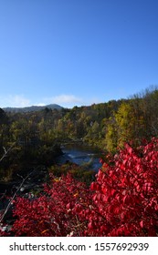 Housatonic River Over Burning Bush￼