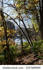 Housatonic River Through Autumn Trees