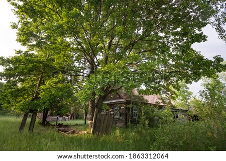 House in abandoned village Lubianka, post apocalyptic landscape, summer season in Chernobyl exclusion zone, Ukraine