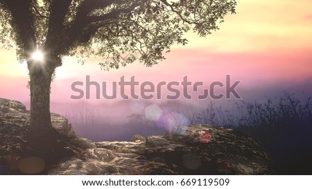 House for Adam and Eve: Spiritual tree of life in Eden garden on beautiful sunset background