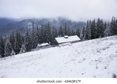 A House Among The Carpathian Mountains. Winter
