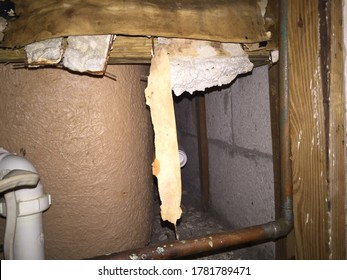 House Bathroom Under Construction. Exposed Is The Bottom Part Of A Fiberglass Tub, Copper Piping, PVC, Old Insulation, Wood And Bare Wall.