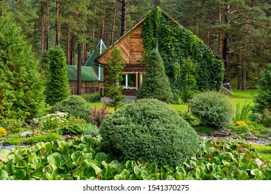 House  in a beautiful garden near the forest, in early autumn