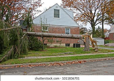 A House Behind A Large Tree Which Fell During Hurricane Sandy, Which Is Unofficially Referred To As Superstorm Sandy