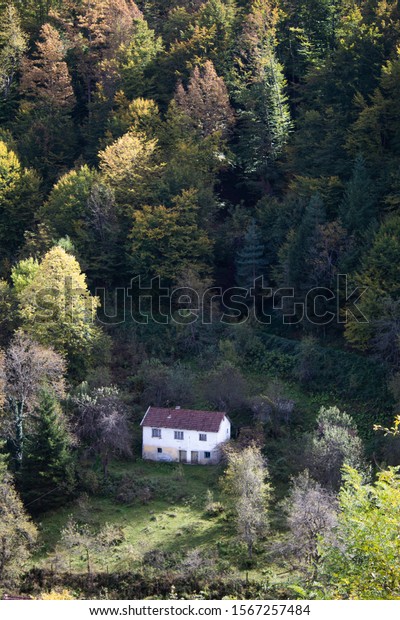 The house below\
the forest speaks of our\
past