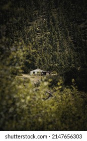 house in between trees and forest