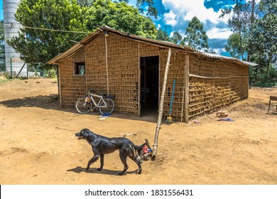 House Of Clay Built And Stick A Pike And Paja Clay, In The Rural Area Of  Brazil