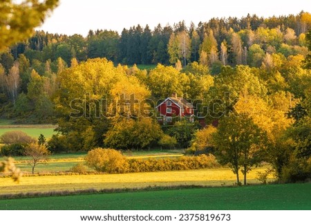 House in the countryside surrounded by autumn colors