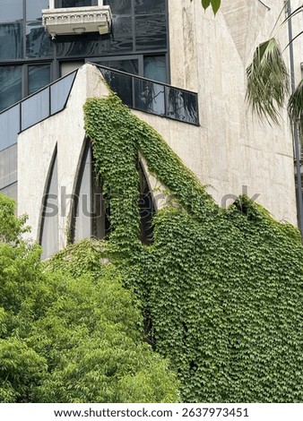 House covered in ivy with open window