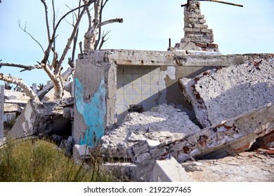 House Destroyed, Bathroom Destroyed By Flood, War And Climate Change. Epecuén Argentina, Nature Growing In Chaos.