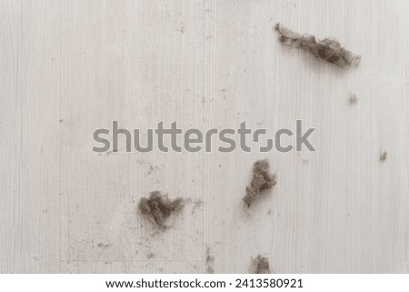 House dust on white floor. Top view. House Dust Mite and Home cleaning, Hygiene concept, Copy free space on Left.