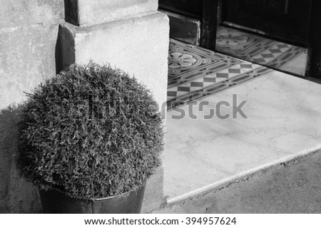 House entrance with tiled floor and potted plant outside. Games of light and shadow. Aged photo. Black and white.