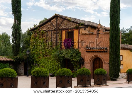 House facade with ivy and flowers