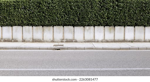 House fence consisting by a long concrete rectangle block wall and a hedge above. Cement sidewalk and asphalt street in front. Background for copy space.