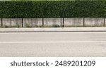 House fence consisting by separated concrete rectangles blocks with high hedge above. Cement sidewalk and asphalt street in front. Background for copy space.