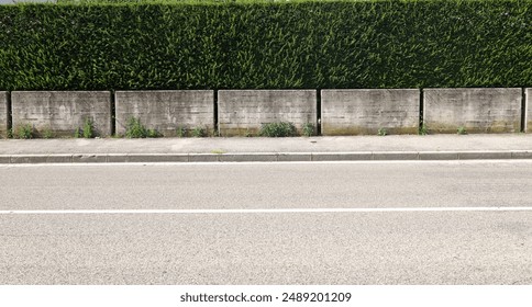 House fence consisting by separated concrete rectangles blocks with high hedge above. Cement sidewalk and asphalt street in front. Background for copy space.